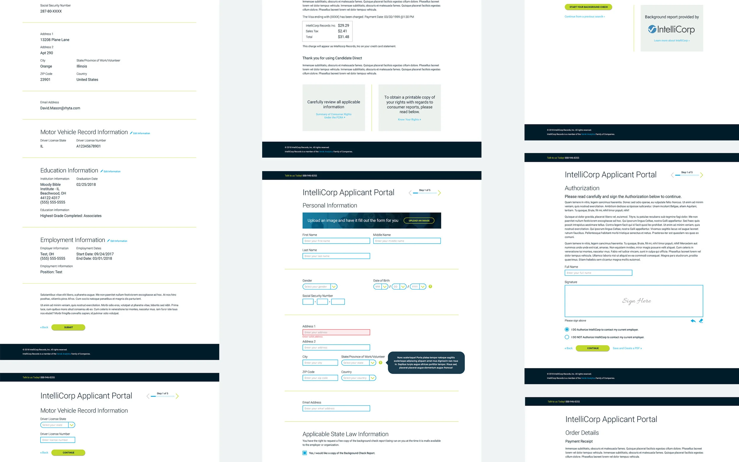 Intellicorp — final portal designs